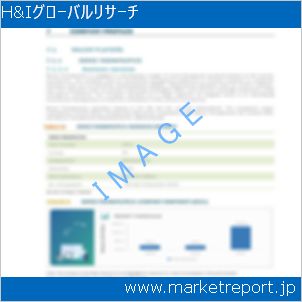 市場と産業調査レポートのイメージ